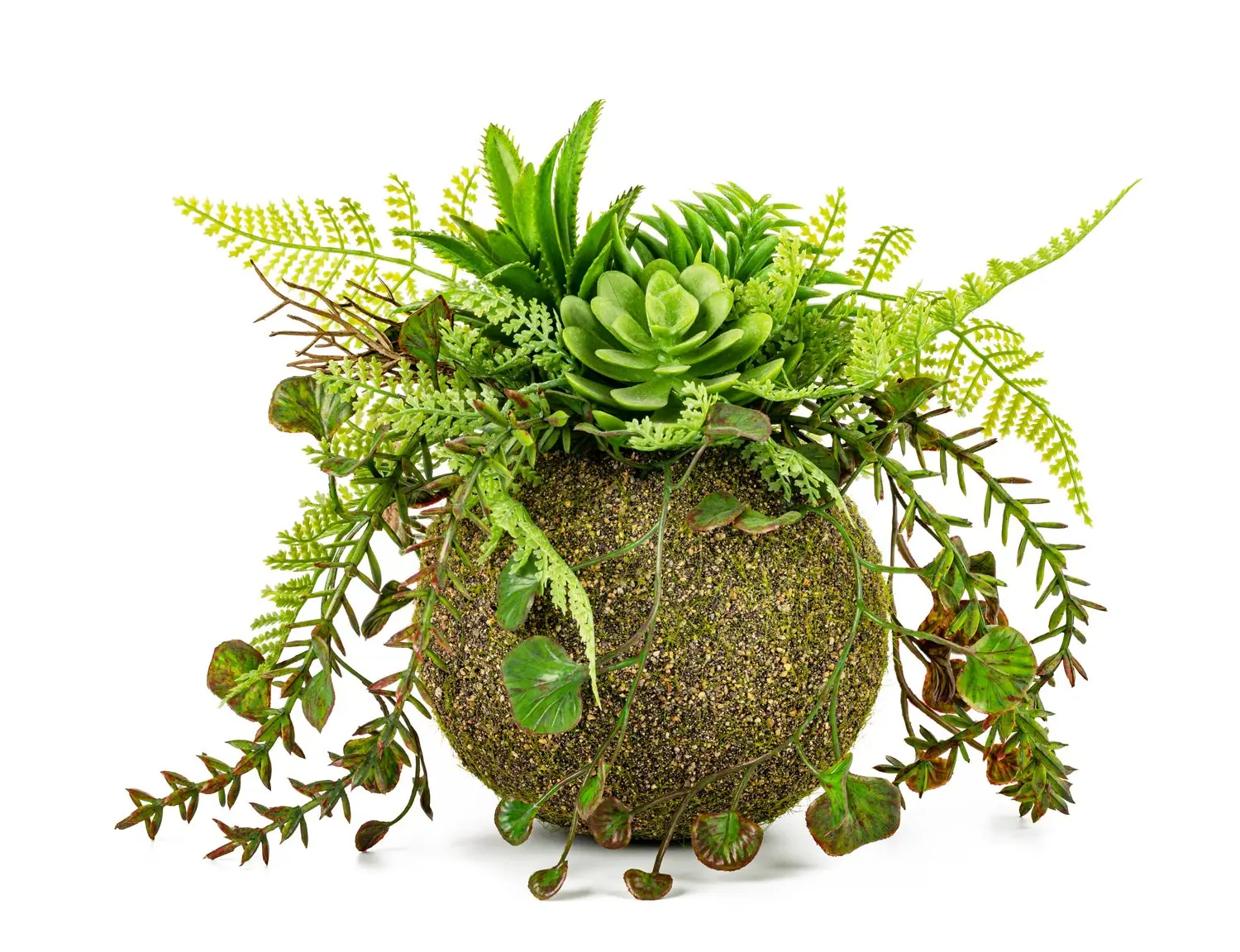 Kokedama - japońskie kule mchem obrośnięte
