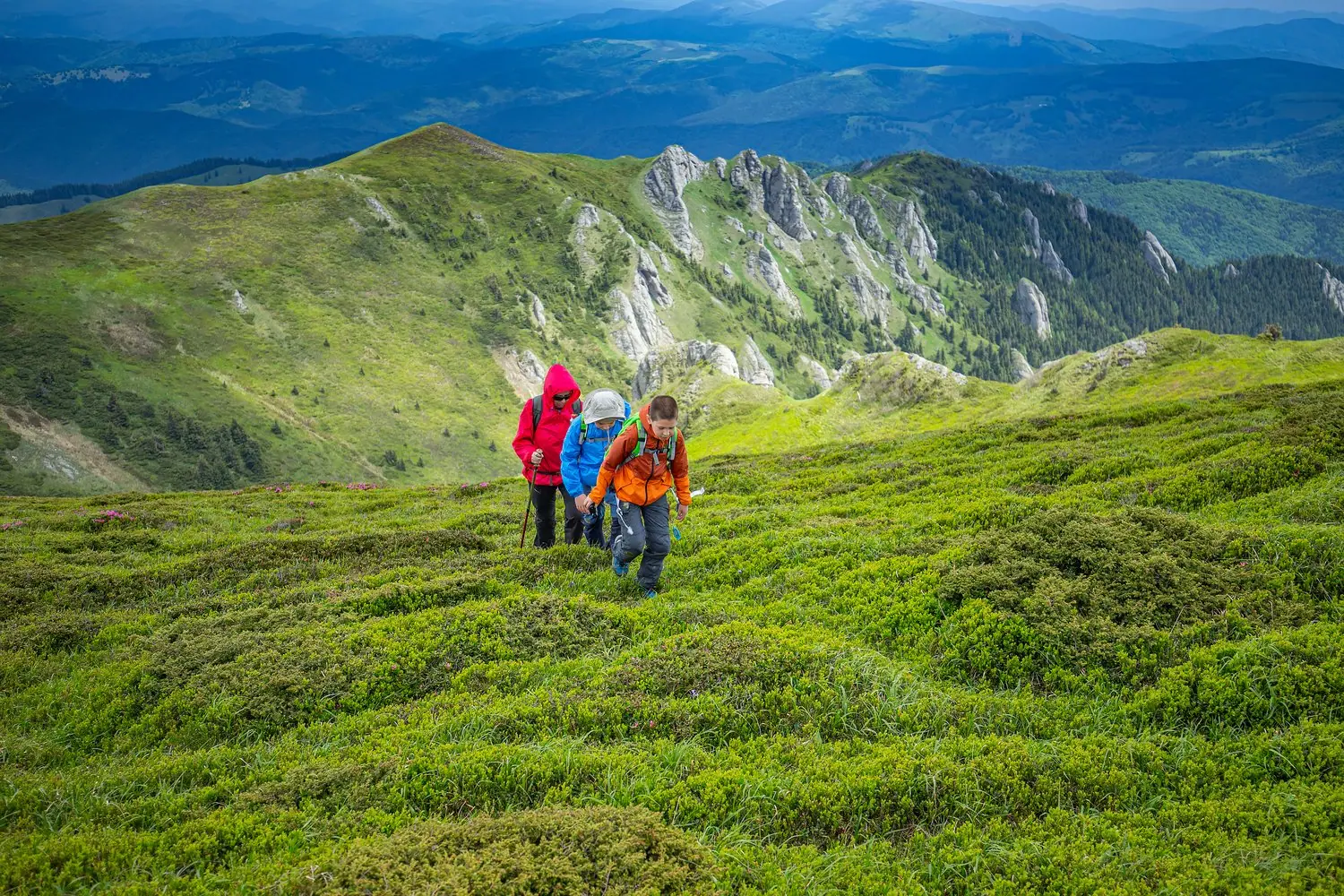 Hiking w Bieszczadach - najpiękniejsze szlaki dla fotografów